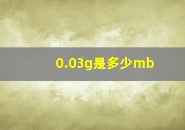 0.03g是多少mb