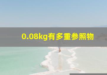 0.08kg有多重参照物