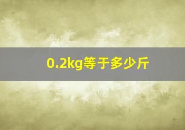 0.2kg等于多少斤