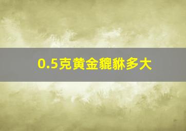 0.5克黄金貔貅多大