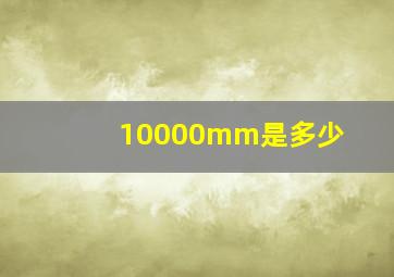 10000mm是多少