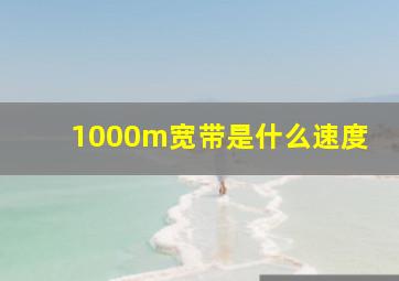 1000m宽带是什么速度