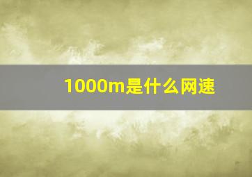 1000m是什么网速