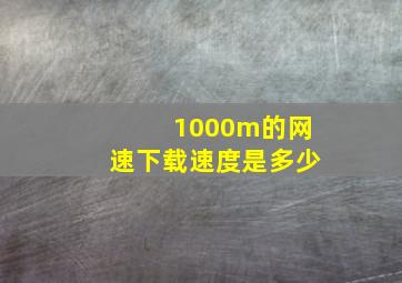 1000m的网速下载速度是多少