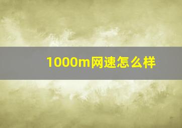 1000m网速怎么样