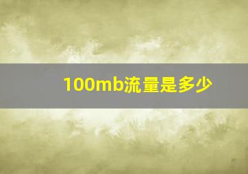 100mb流量是多少