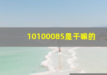 10100085是干嘛的