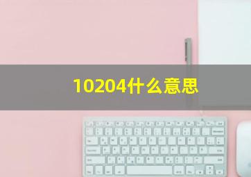 10204什么意思