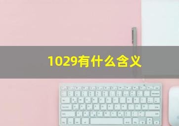 1029有什么含义