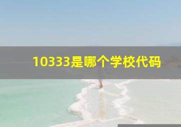 10333是哪个学校代码