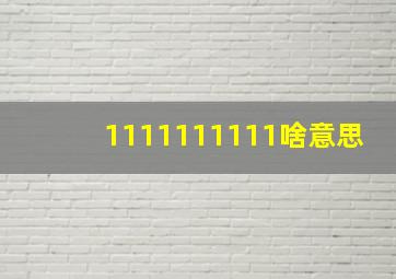 1111111111啥意思