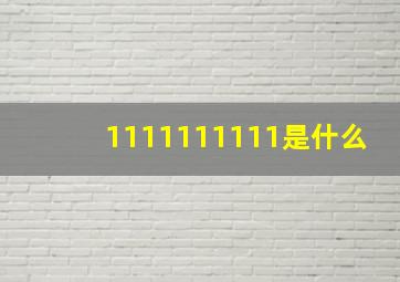 1111111111是什么