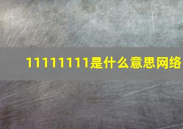 11111111是什么意思网络