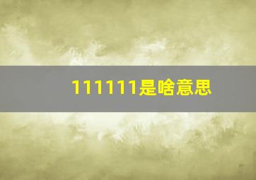 111111是啥意思