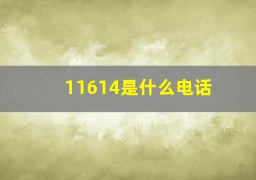 11614是什么电话