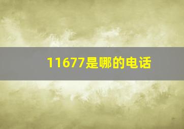 11677是哪的电话