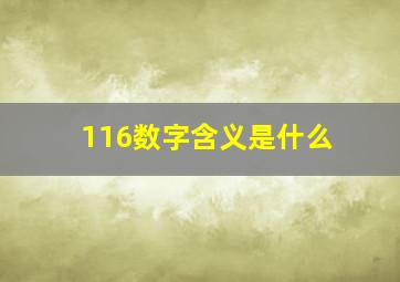 116数字含义是什么