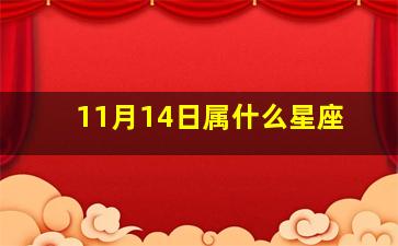 11月14日属什么星座