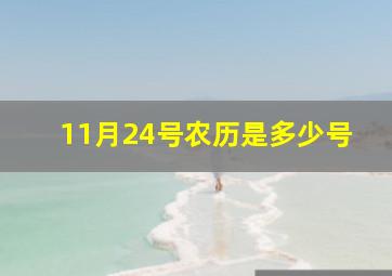 11月24号农历是多少号