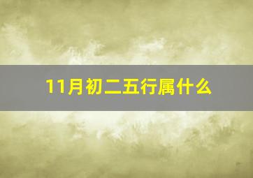 11月初二五行属什么