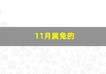 11月属兔的