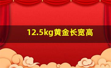 12.5kg黄金长宽高