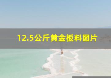 12.5公斤黄金板料图片