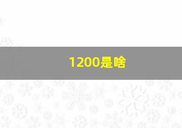 1200是啥