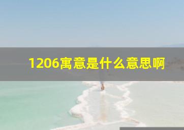 1206寓意是什么意思啊