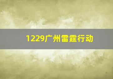 1229广州雷霆行动