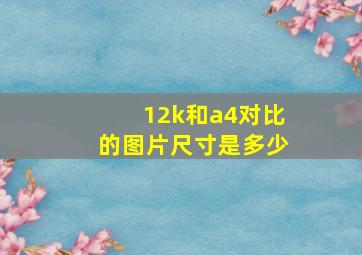 12k和a4对比的图片尺寸是多少