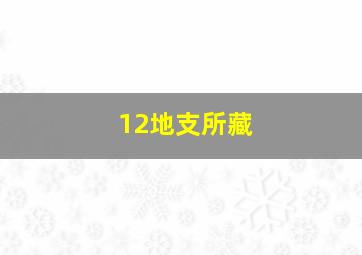 12地支所藏