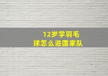 12岁学羽毛球怎么进国家队