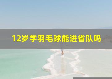 12岁学羽毛球能进省队吗