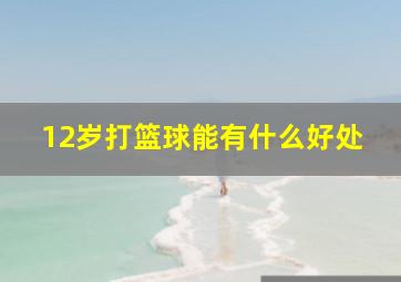 12岁打篮球能有什么好处