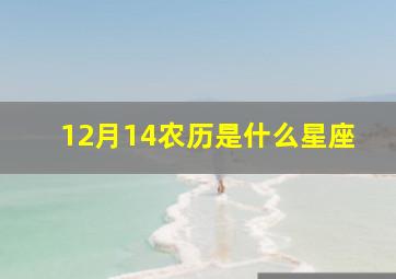 12月14农历是什么星座