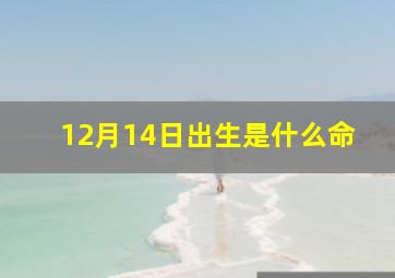 12月14日出生是什么命