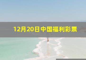 12月20日中国福利彩票