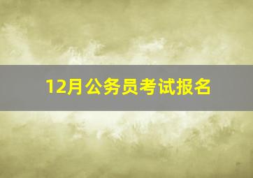 12月公务员考试报名