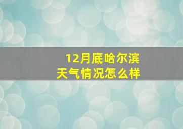 12月底哈尔滨天气情况怎么样