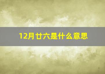 12月廿六是什么意思