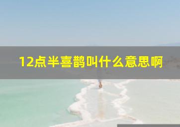 12点半喜鹊叫什么意思啊