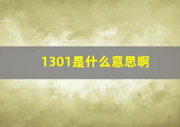 1301是什么意思啊