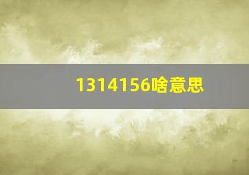 1314156啥意思