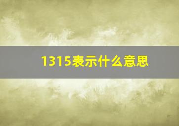 1315表示什么意思