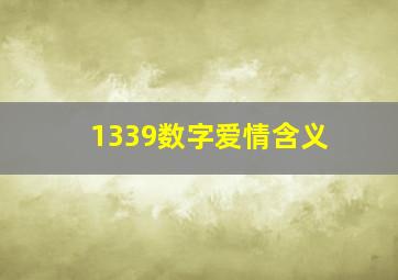 1339数字爱情含义