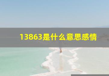 13863是什么意思感情