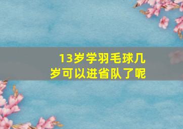 13岁学羽毛球几岁可以进省队了呢