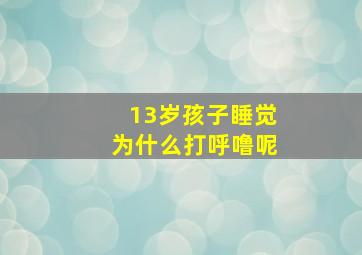 13岁孩子睡觉为什么打呼噜呢