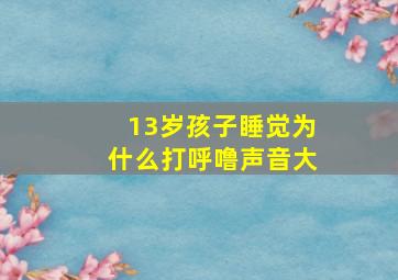 13岁孩子睡觉为什么打呼噜声音大